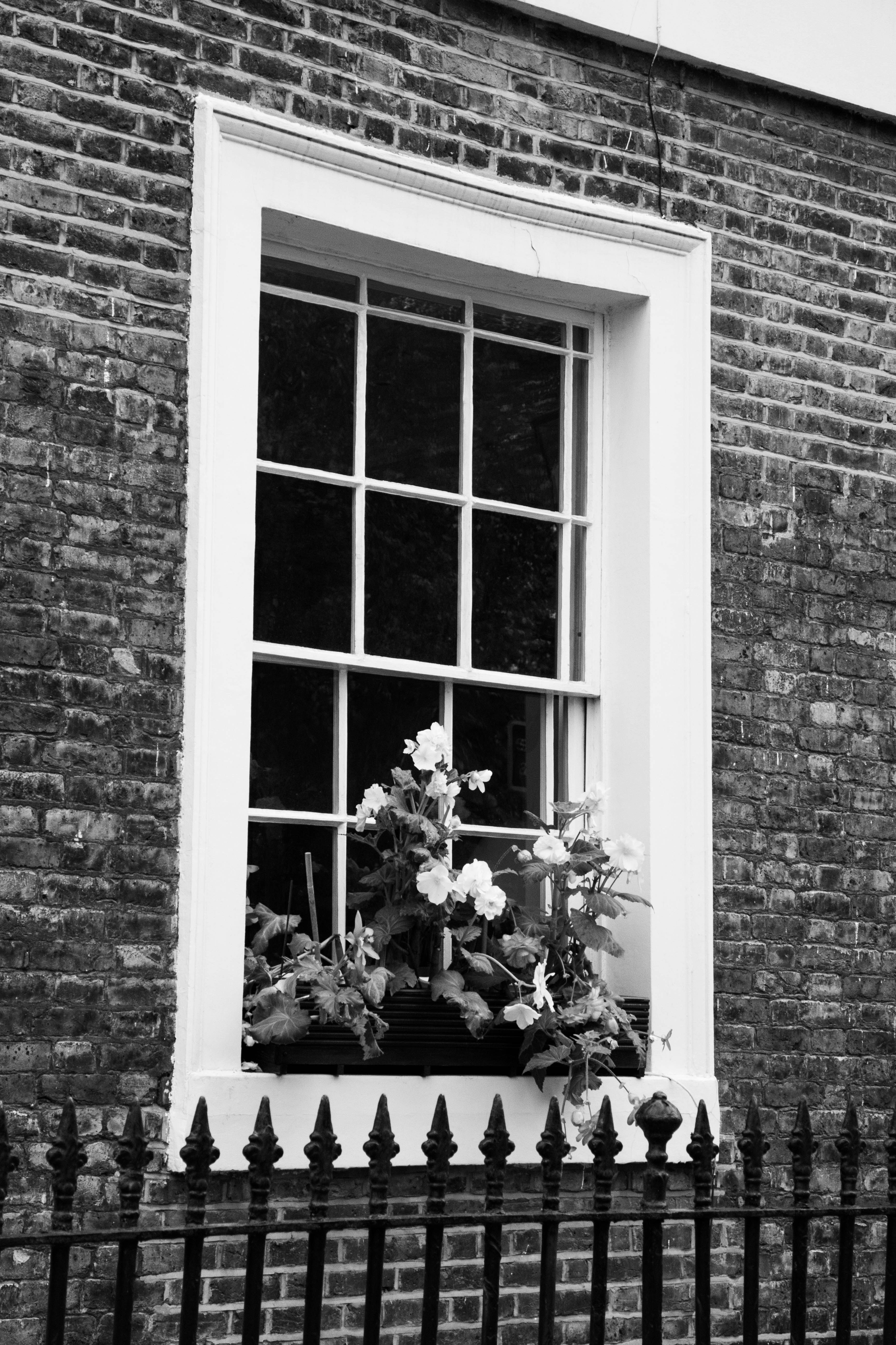 Casement windows