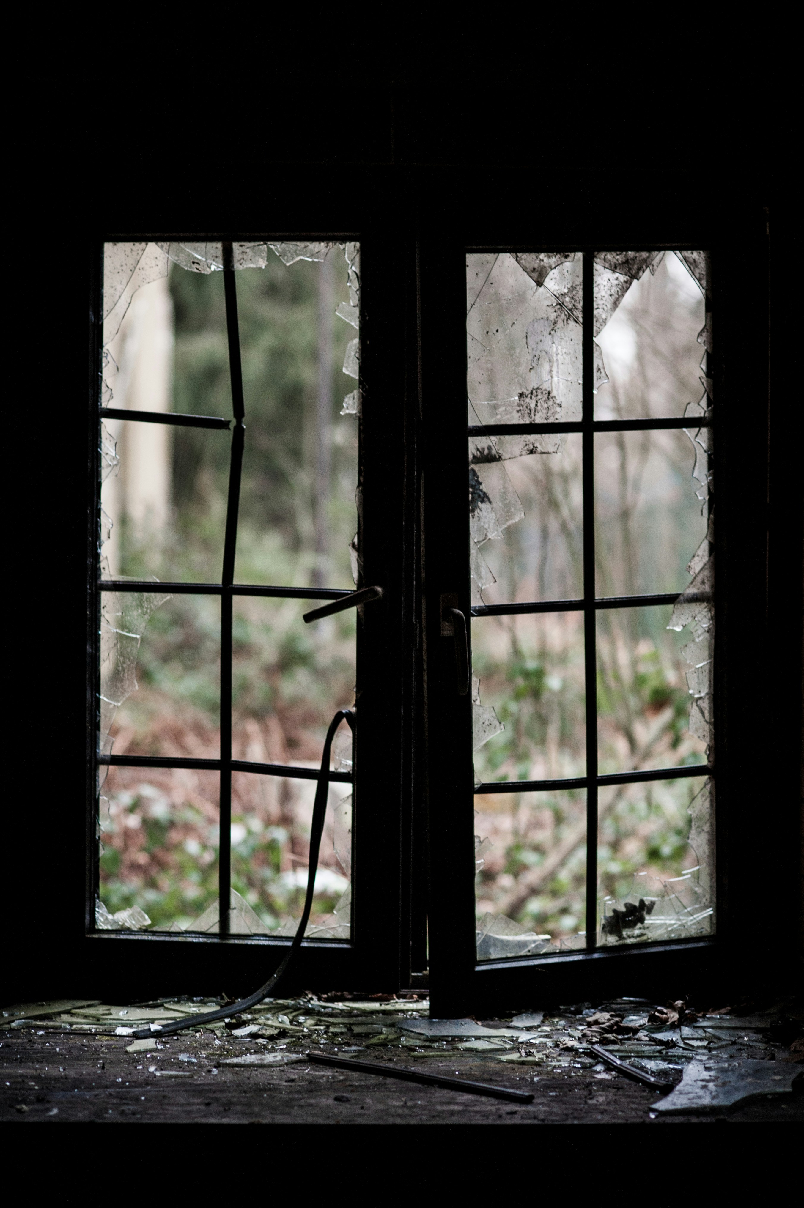 Replacement windows